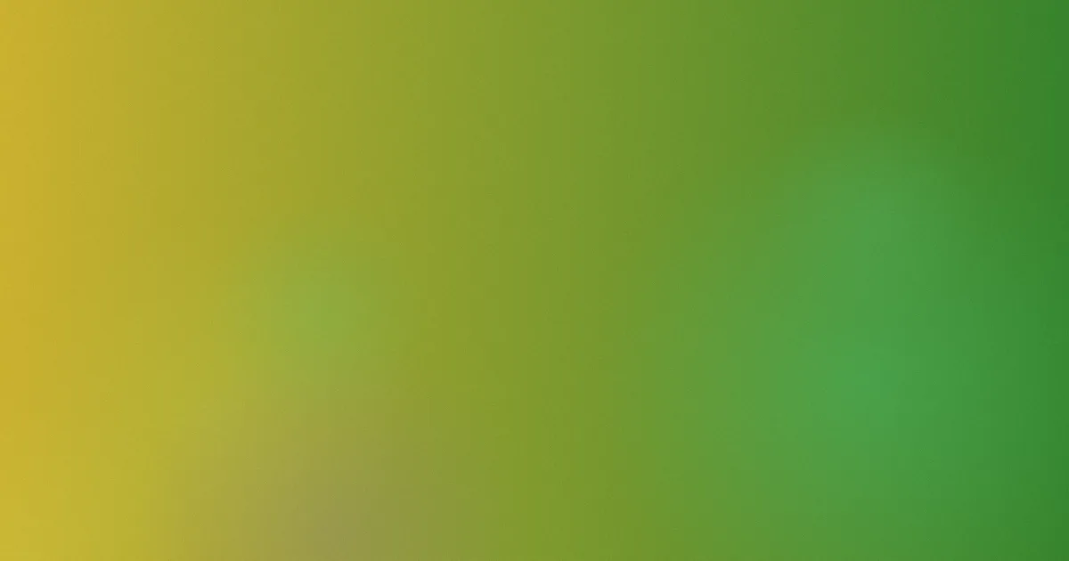 情趣用品视频是什么？四类内容对比